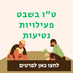 טע וסע