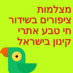 מצלמות ציפורים בשידור חי טבע אתרי קינון בישראל