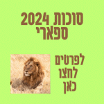 סוכות 2024 ספארי ברמת שעות פעילות אטרקציות לחול המועד כרטיסים מוזלים שוברי הנחה באשראי