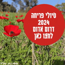 טיולי פריחה 2024 מקומות מומלצים עם קרן קיימת